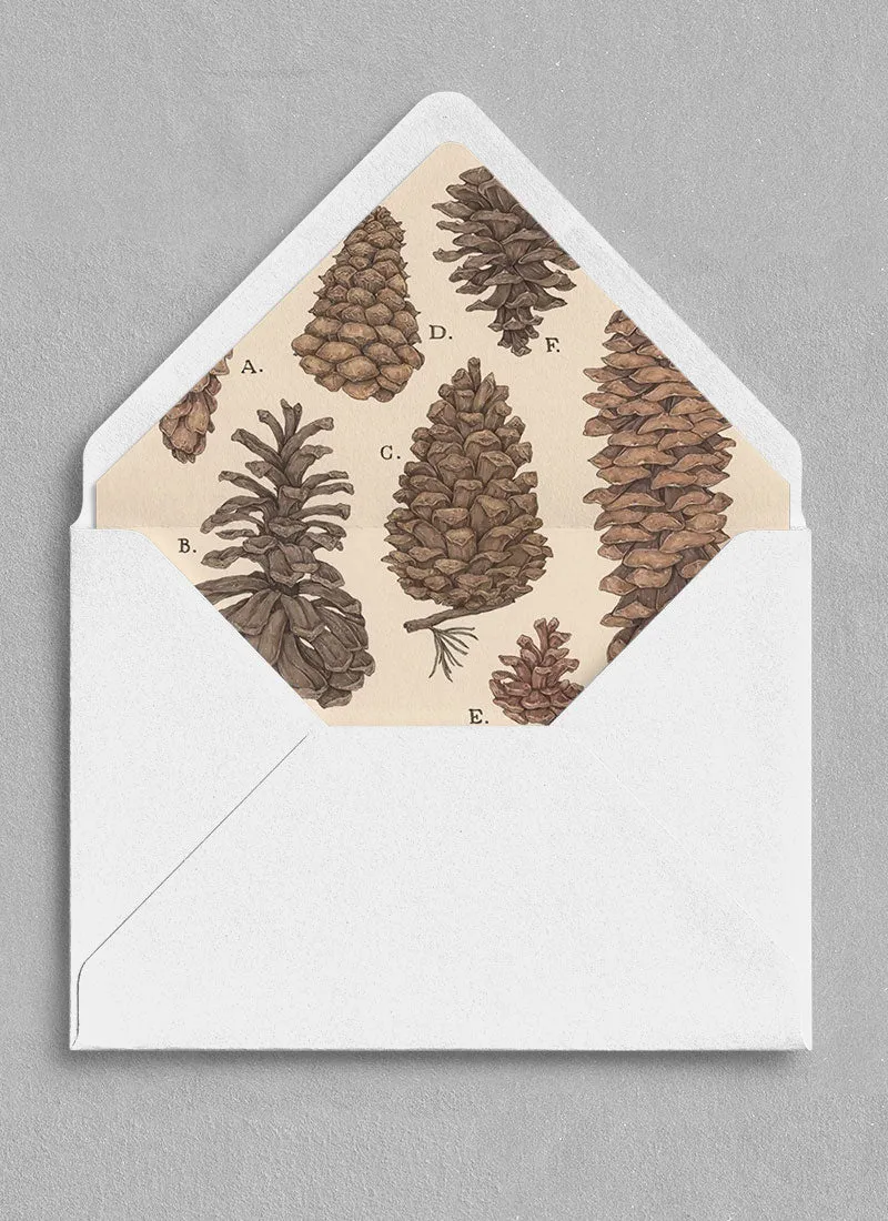 Envelope Liner